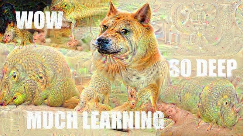 wow so deep much learning